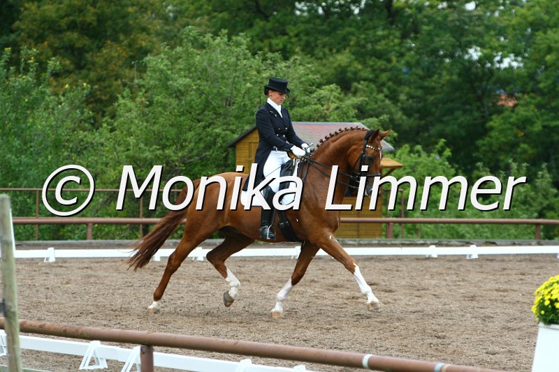 109M1425_Riolino_Dressur S_St. Georg.JPG